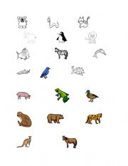 English worksheet: Animals