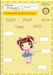 English worksheet: Body quiz