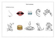 English Worksheet: The Five Senses