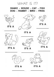 English Worksheet: Animals 1