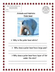 English worksheet: polar bear habitat