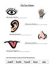 English Worksheet: the five senses