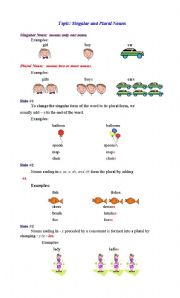 English Worksheet: Singular and Plural Nouns