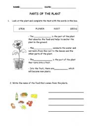 English Worksheet: Parts of the plant