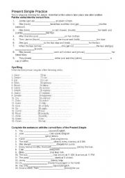 English Worksheet: SImple Present exercises