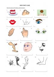 English Worksheet: Body  parts exercise 