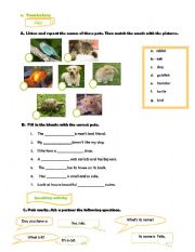 English Worksheet: Pets 