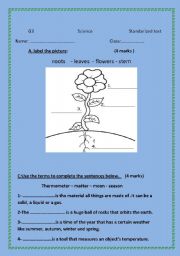 English worksheet: Science test-elementary stage