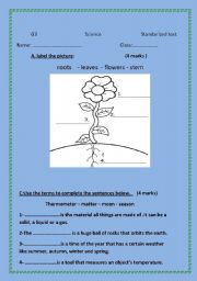 English Worksheet: Science test-elementary stage