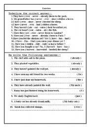 English Worksheet: present perfect