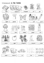 English Worksheet: Choose: a / an /some