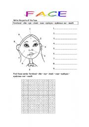 English worksheet: FACE