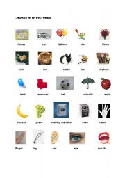 English worksheet: words with pictures