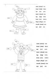 English Worksheet:  body