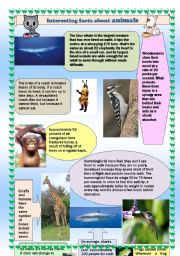 Interesting facts about animals 