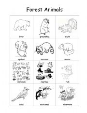 Forest Animal Vocabulary Sheet