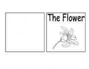 English Worksheet: Parts of a Flower Book 