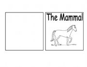 English Worksheet: Parts of a mammal book (horse)