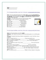 English Worksheet: present perfect tense worksheet