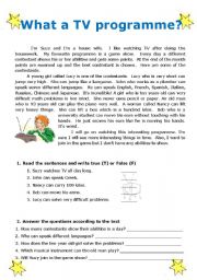 English Worksheet: What a TV programme