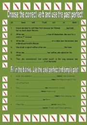 English Worksheet: Past Perfect Exercise
