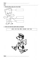 English Worksheet: Our body
