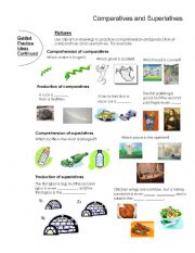 English Worksheet: comparative