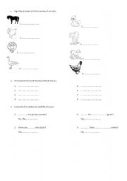 English Worksheet: Animals nad plurals