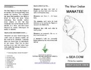 English worksheet: West Indian Manatee