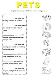 English Worksheet: Pets