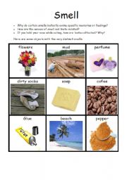 English Worksheet: The senses: Smell