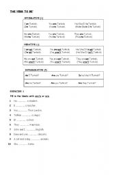 English Worksheet: TO BE