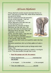 English Worksheet: african elephants