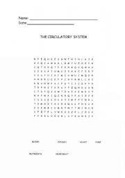 English worksheet: The Circulatory System Wordsearch