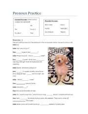 English Worksheet: Personal and Possesive Pronoun Practice