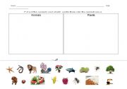 English Worksheet: cut and paste animals and plants