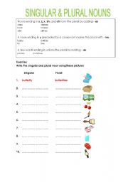 English Worksheet: singular & plural noun