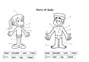 English Worksheet: Parts of body