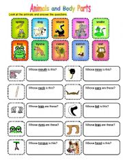 English Worksheet: animals