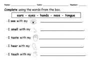 English Worksheet: The five senses