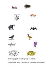 English worksheet: Classifying Groups of Animals