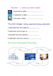 English Worksheet: the water states