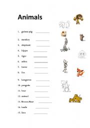 English worksheet: Animals and Fun