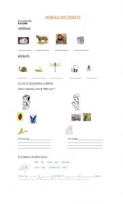 English worksheet: Animals and insects