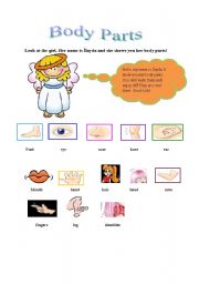 English Worksheet: body parts