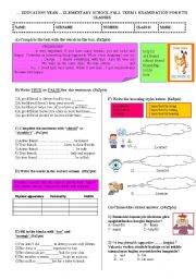 English Worksheet: 1st term 8th classes 1st exam