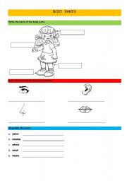 English worksheet: Body Parts