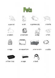 English worksheet: pets