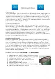 English Worksheet: Shark reading comprehension