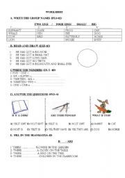 English worksheet: worksheet, exam